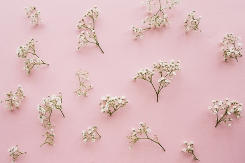 mia_costa onlyfans leaked picture 2