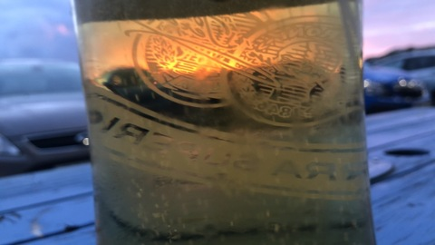 mikey225176 onlyfans leaked picture 2