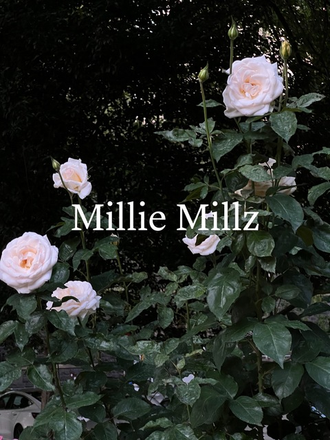 milliemillz onlyfans leaked picture 2