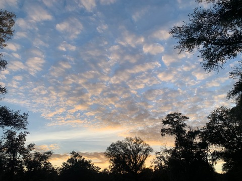 morganasf onlyfans leaked picture 2