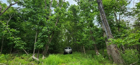 motodixon onlyfans leaked picture 2