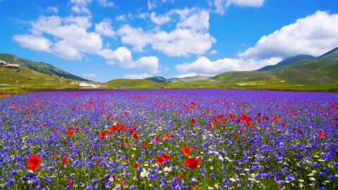 myla_angel onlyfans leaked picture 2