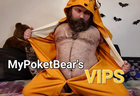 mypocketbear63 onlyfans leaked picture 2