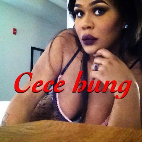 mz_cece_hung onlyfans leaked picture 2