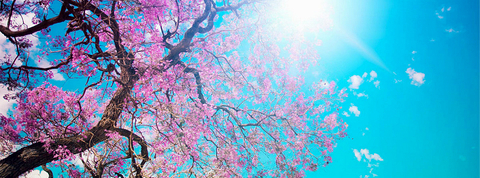 na-nadia onlyfans leaked picture 2