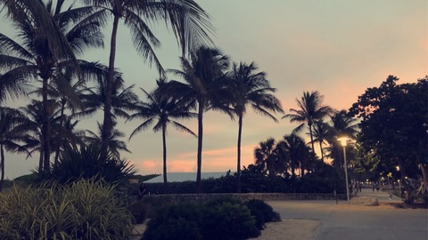 natexxxknight onlyfans leaked picture 2