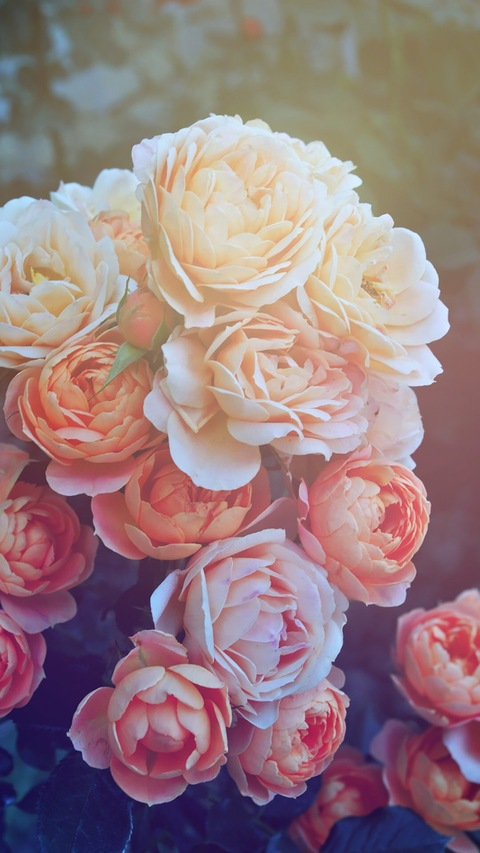 nattybynature94 onlyfans leaked picture 2