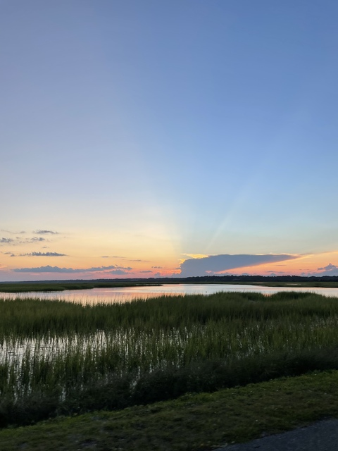 nessy_bloom onlyfans leaked picture 2