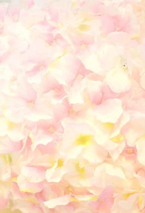 niecey_491 onlyfans leaked picture 2