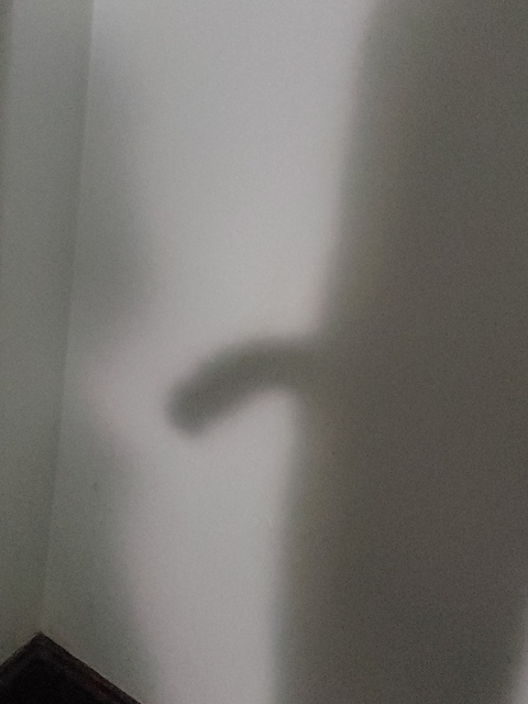 ninefoursho onlyfans leaked picture 2