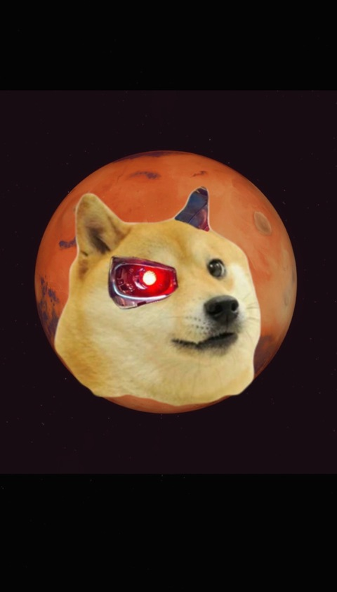 ofdoge onlyfans leaked picture 2