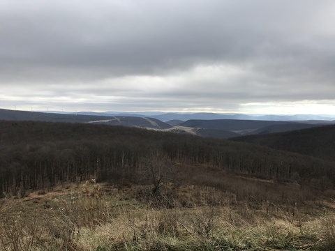 omegainfinita onlyfans leaked picture 2