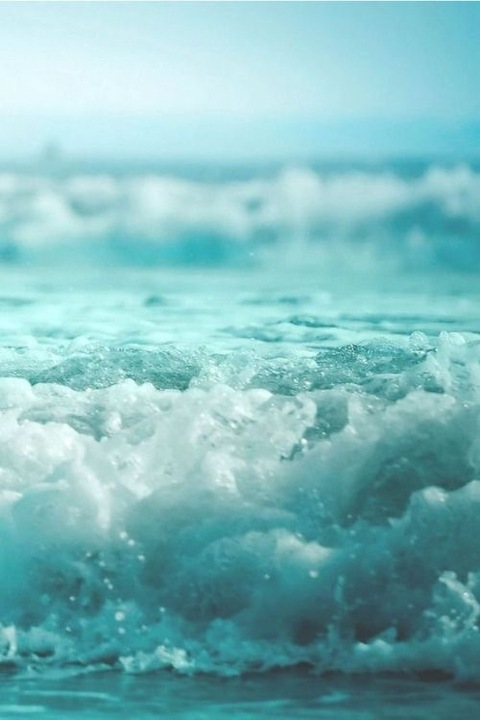 plussizemichelle onlyfans leaked picture 2