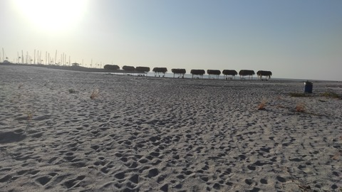 rouse onlyfans leaked picture 2