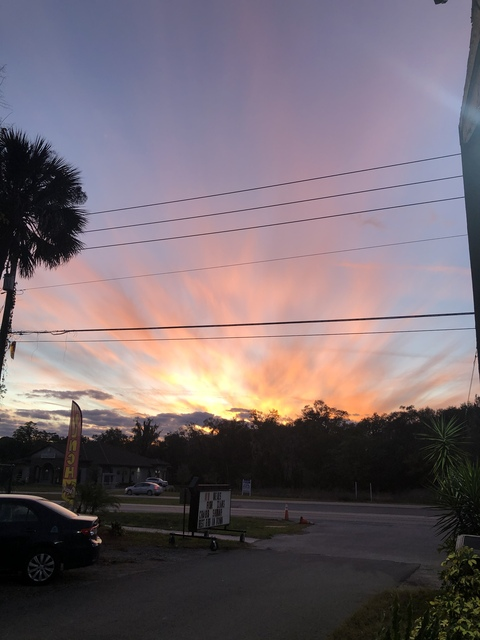 savibunni onlyfans leaked picture 2