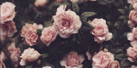 scouty_reign onlyfans leaked picture 2