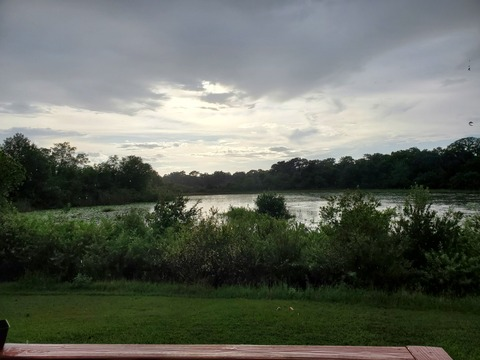 seanzzy onlyfans leaked picture 2