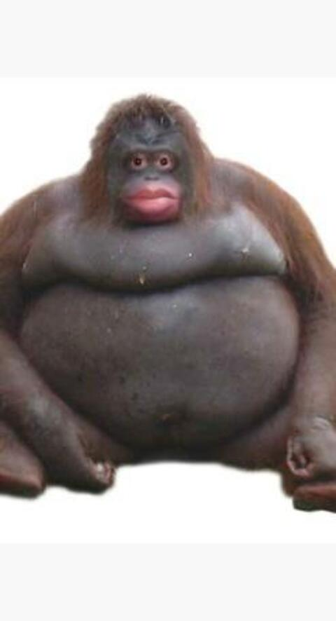 sexygranny onlyfans leaked picture 2