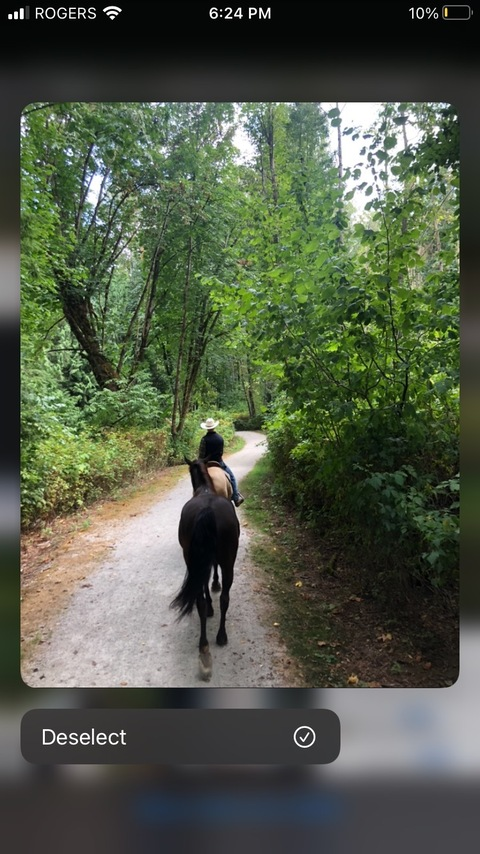 soundslikeapersonalissue onlyfans leaked picture 2