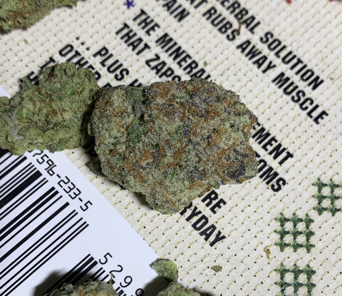 stonergirl5133 onlyfans leaked picture 2