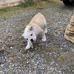 stoney57 OnlyFans Leaked (49 Photos and 32 Videos) 

 profile picture