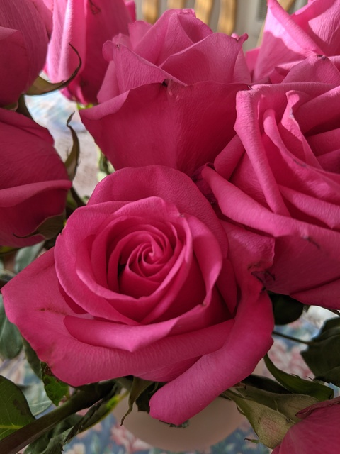 summertimerose onlyfans leaked picture 2