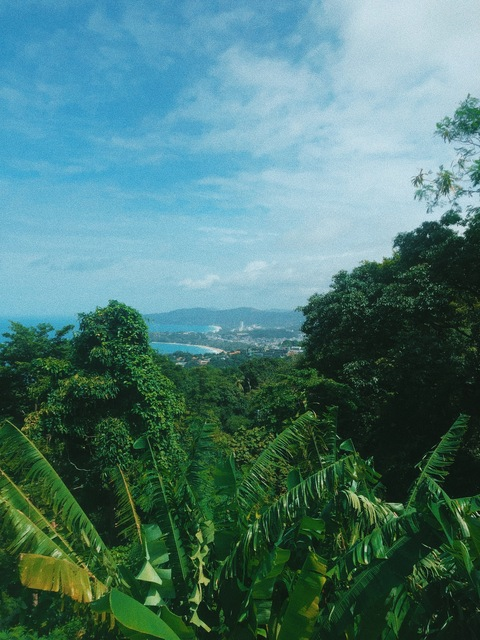 sunflowerbebe onlyfans leaked picture 2