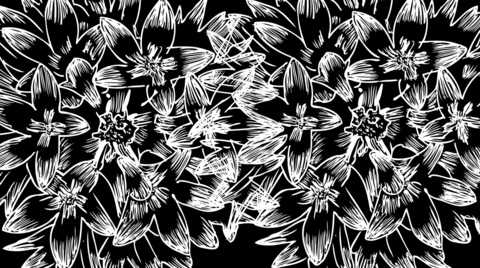 taatiis423 onlyfans leaked picture 2