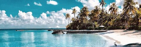 tannerhallxxx onlyfans leaked picture 2