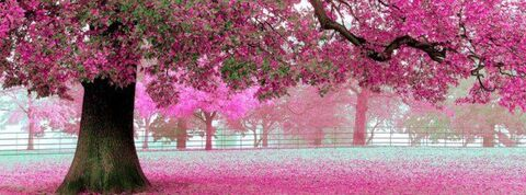 tayvvo onlyfans leaked picture 2