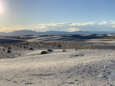 texasmusclebul1 onlyfans leaked picture 2