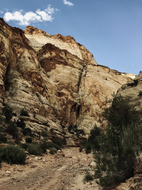 textwunk onlyfans leaked picture 2