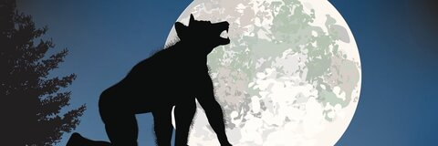 therealcoupletx onlyfans leaked picture 2