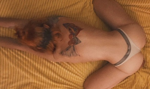 theyellowfairy onlyfans leaked picture 2