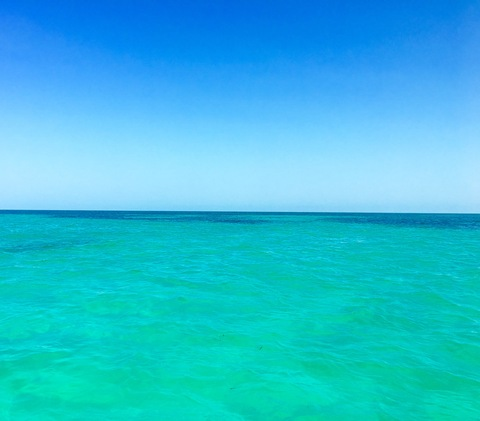 thickishbrunette onlyfans leaked picture 2