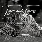 tigerandtigress OnlyFans Leaked 

 profile picture