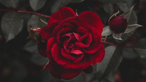 u248237889 onlyfans leaked picture 2