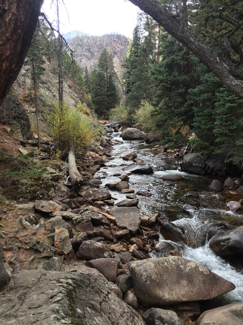 u37192818 onlyfans leaked picture 2