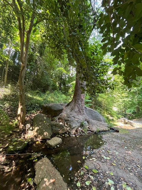 wednesdaysbody onlyfans leaked picture 2