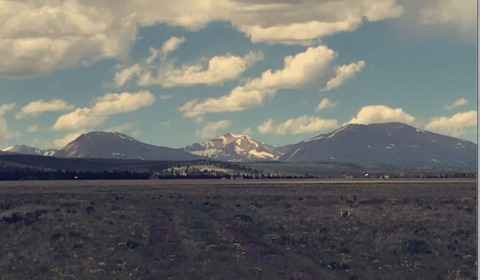 whiskeygirl.223 onlyfans leaked picture 2