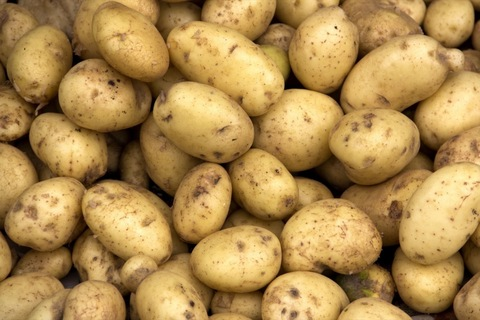 wholepotato onlyfans leaked picture 2