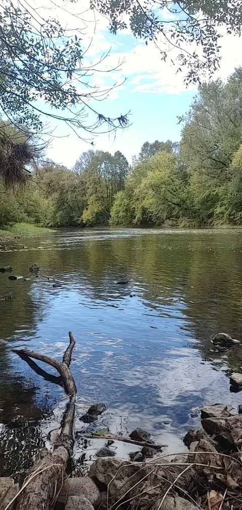 wildatheart19 onlyfans leaked picture 2