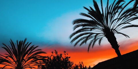 xoxobeauty onlyfans leaked picture 2