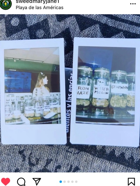 zoebea4 onlyfans leaked picture 2